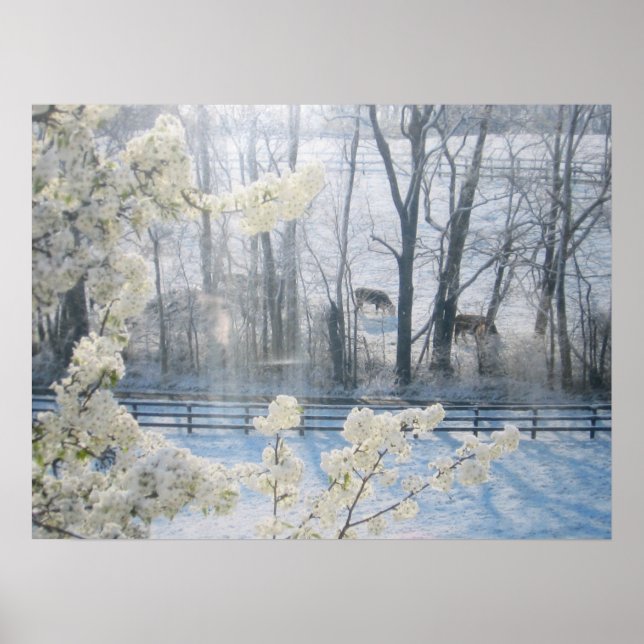 Kor i fält under vintern poster (Framsidan)