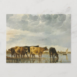 Kor i floden Aelbert Cuyp Vykort