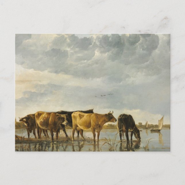 Kor i floden Aelbert Cuyp Vykort (Framsida)