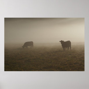 Kor i Mist Photo Poster