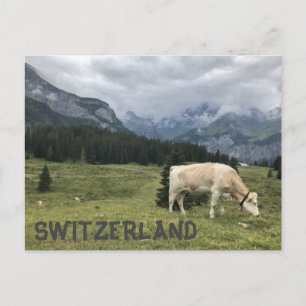 Kor i Schweiz är Lycklig-kuster Vykort