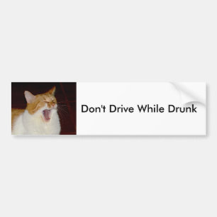 Kör inte full Cat Bumper Sticker Bildekal