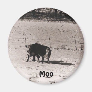 kor magnet