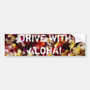 KÖR MED ALOHA! BILDEKAL