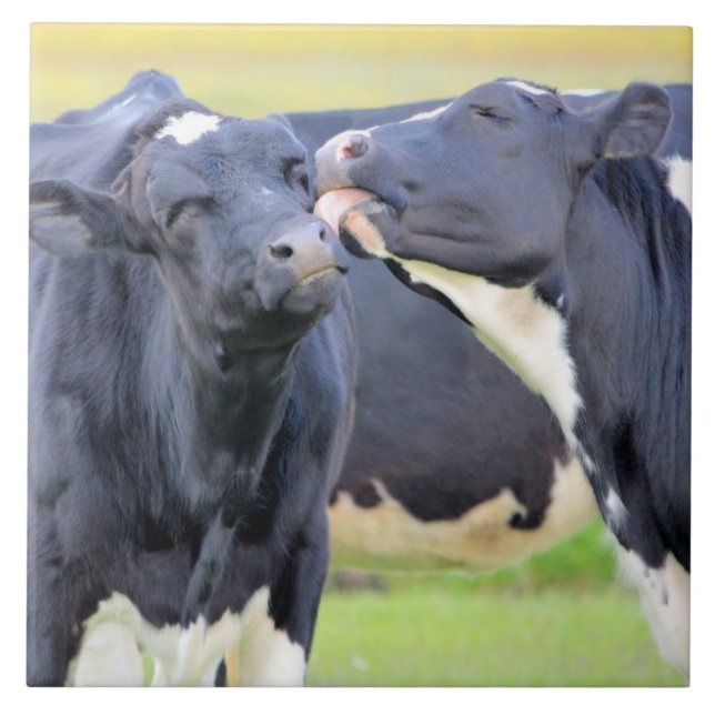 Kor med bästa vänner kysser Tile Kakelplatta (Framsidan)