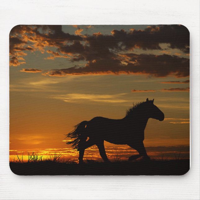 Kör med det musmatta (Framsidan)