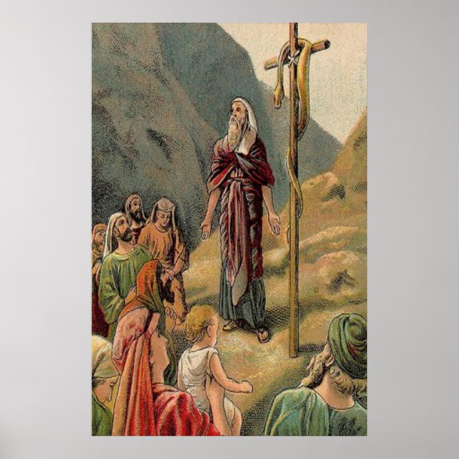 kor med död orm poster (Framsidan)