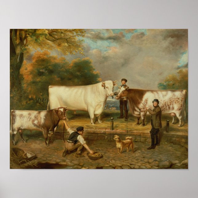 Kor med herdsman poster (Framsidan)