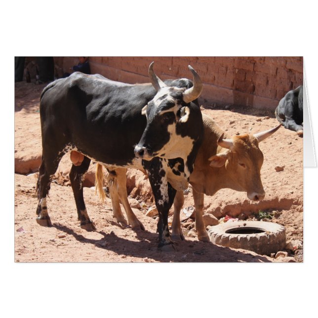 Kor med horns hälsningskort (Framsidan Horizontal)