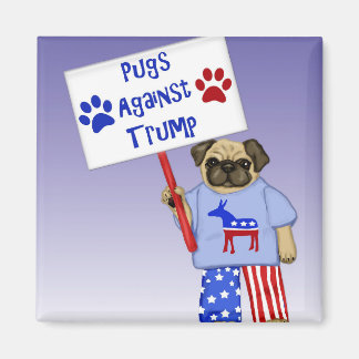 Kör mot Trump Magnet