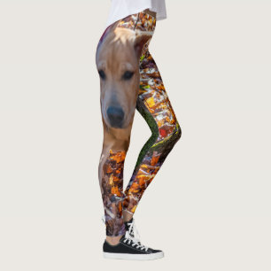 Kör något liknande ett labb! Damasker Leggings