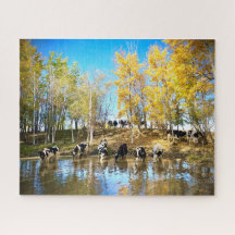 Kor på hösten vid dammen