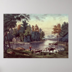 Kor på kusten av en sjö poster