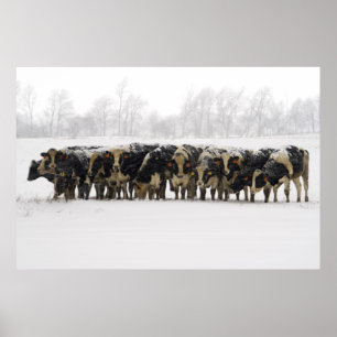 Kor Poster