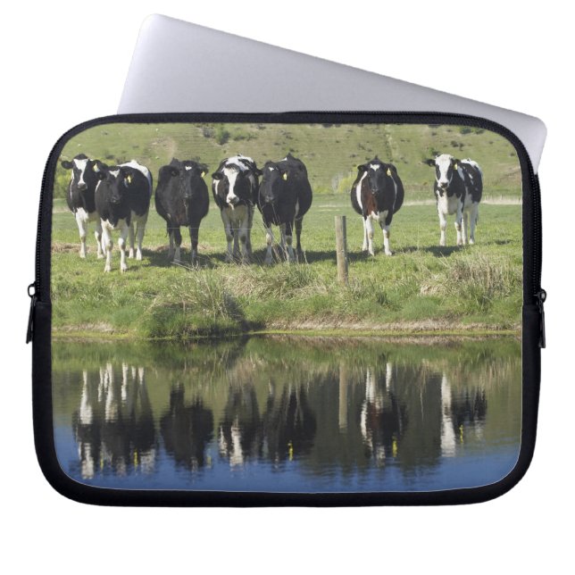 Kor reflekterade i kanal, Henley, Taieri Plain, Laptop Sleeve (Framsidan)