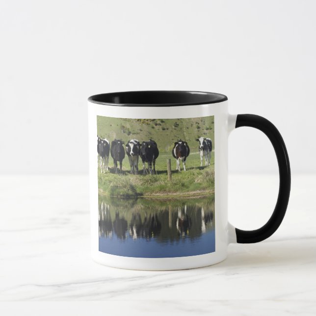 Kor reflekterade i kanal, Henley, Taieri Plain, Mugg (Höger)