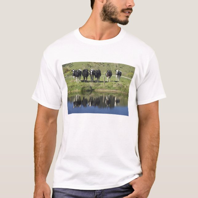 Kor reflekterade i kanal, Henley, Taieri Plain, Tee Shirt (Framsida)