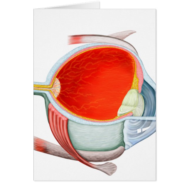 Kor-sektionen i Öga Hälsningskort (Framsidan)