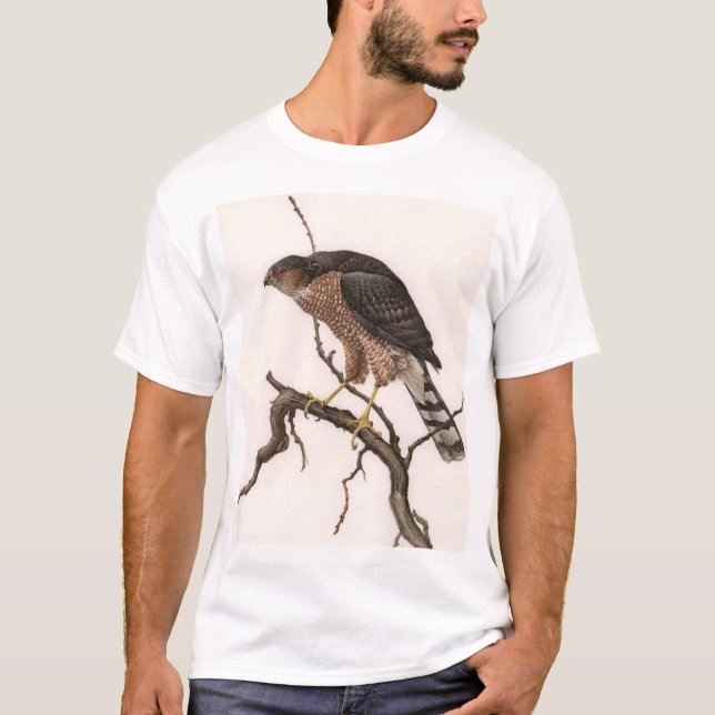 Kor-shinned hök, kvinnlig vuxen t shirt (Framsida)