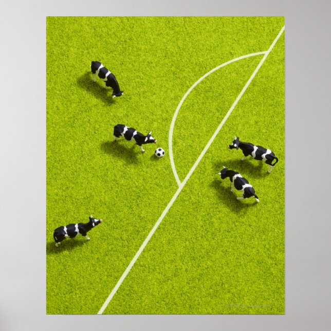 Kor som spelar fotboll poster (Framsidan)