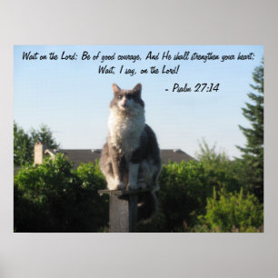 Kor synad katt och Psalm27:14 Poster