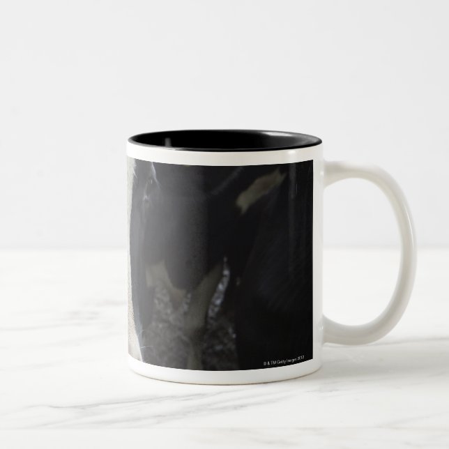 Kor Två-Tonad Mugg (Höger)