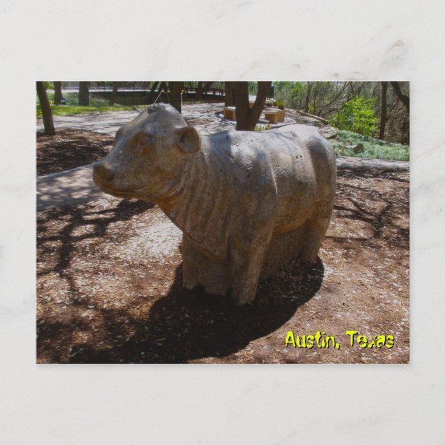 Kor vid Arboretum Vykort (Framsida)