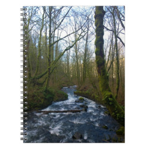 Köra från Möhippa Veil Falls, ELLER Anteckningsbok