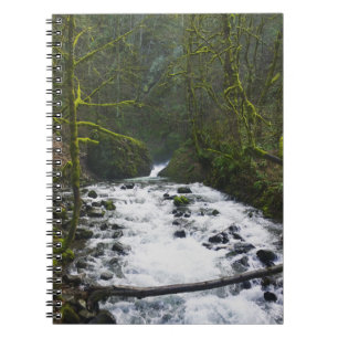 Köra från Möhippa Veil Falls, ELLER Anteckningsbok