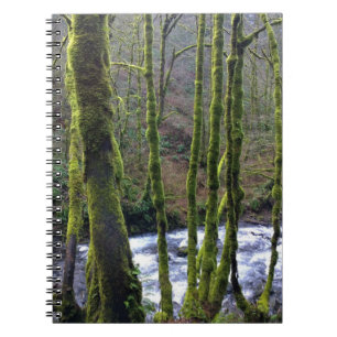 Köra från Möhippa Veil Falls, ELLER Anteckningsbok