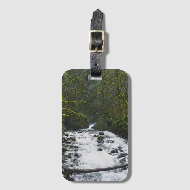 Köra från Möhippa Veil Falls, ELLER Bagagebricka (Framsida vertikal)