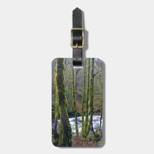 Köra från Möhippa Veil Falls, ELLER Bagagebricka