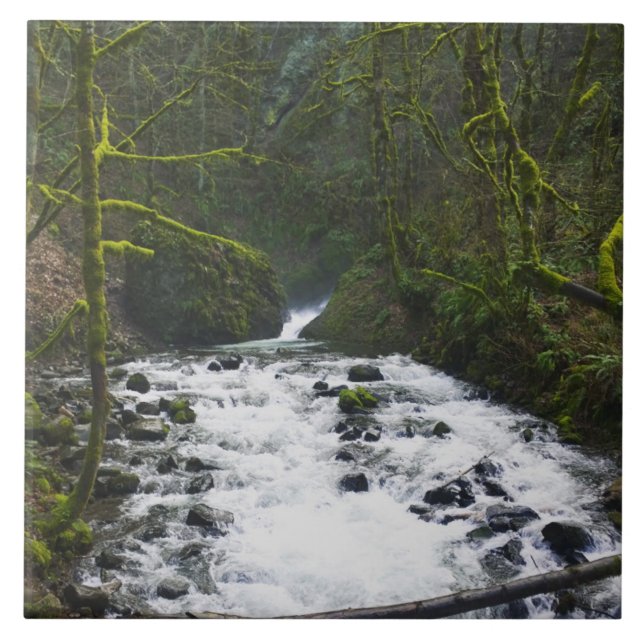 Köra från Möhippa Veil Falls, ELLER Kakelplatta (Framsidan)