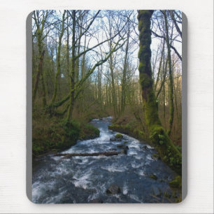 Köra från Möhippa Veil Falls, ELLER Musmatta