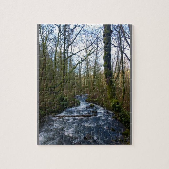 Köra från Möhippa Veil Falls, ELLER Pussel (Vertikal)