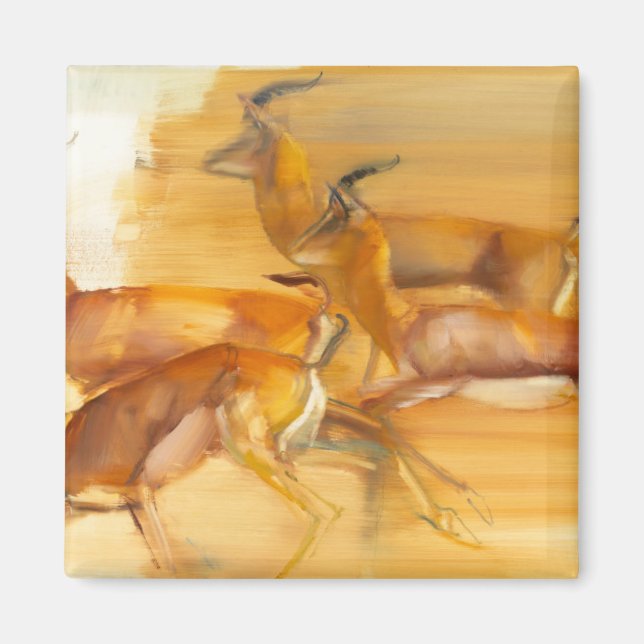 Köra Gazelles 2010 Magnet (Framsidan)