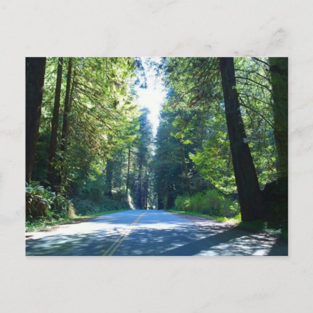 Köra genom skogen i Crescent City Vykort (Framsida)