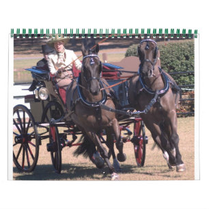 köra häst kalender
