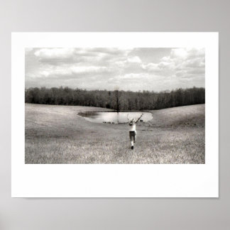 Köra kostnadsfri Poster