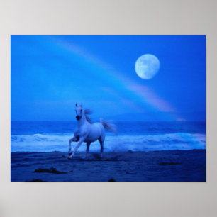 Köra kostnadsfri Poster