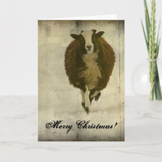 Köra Lambchops, God jul Helgkort (Framsida)