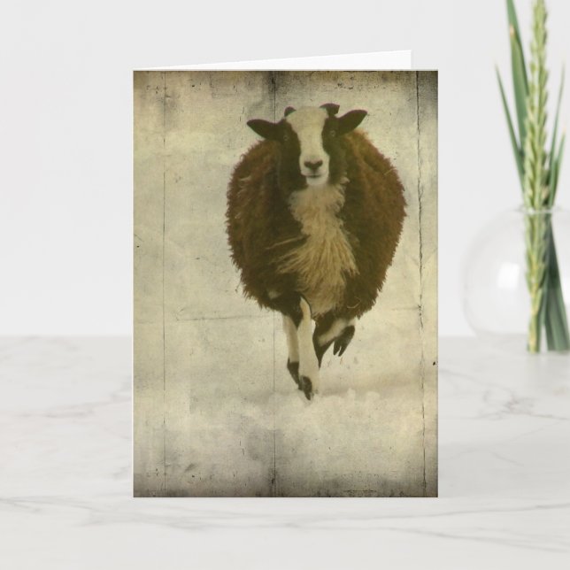 Köra Lambchops Kort (Framsida)