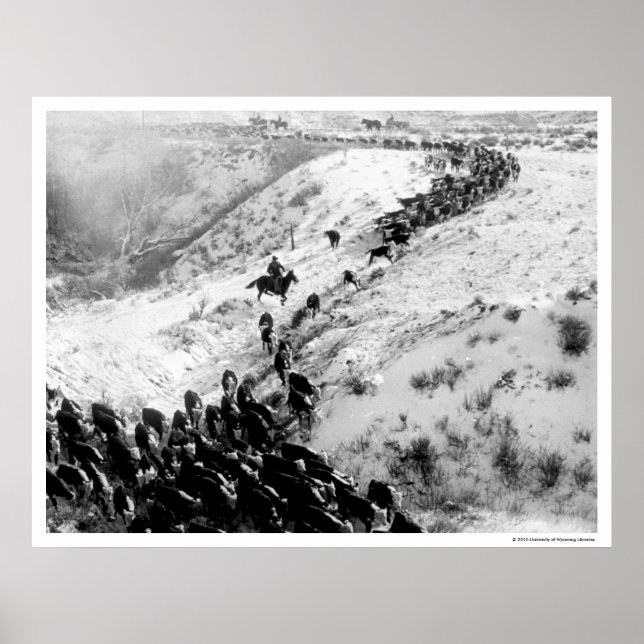 Köra nötkreatur på vintern. poster (Framsidan)