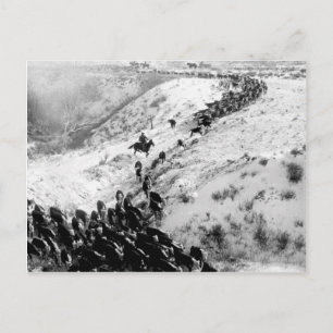 Köra nötkreatur på vintern. vykort