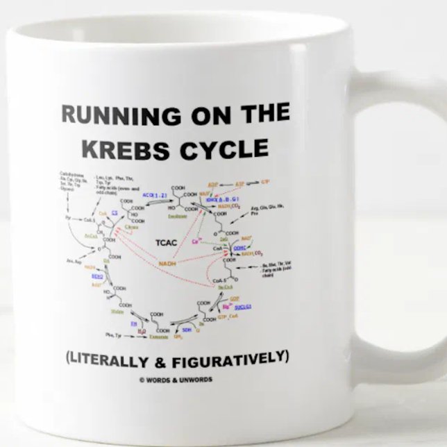 Köra på Krebs-cykeln (Science Humor) Kaffemugg (Biochemistry attitude mug for anyone who runs on the Krebs cycle (literally & figuratively)!)