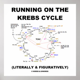 Köra på Krebs-cykeln (Science Humor) Poster