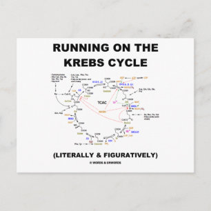 Köra på Krebs-cykeln (Science Humor) Vykort