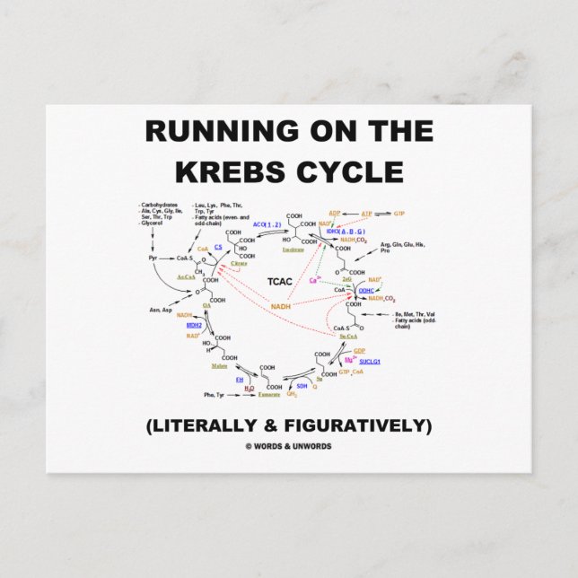 Köra på Krebs-cykeln (Science Humor) Vykort (Framsida)