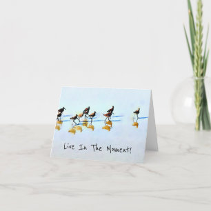 Köra Sandpipers på Hilton Head Beach Tack Kort