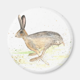 Köra vattenfärg för hare magnet